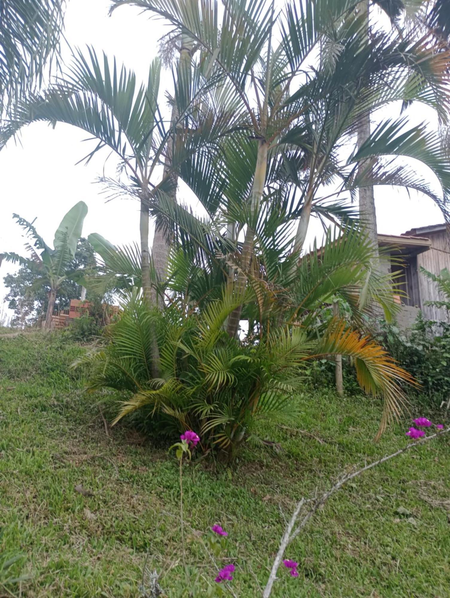 Villa Familia Cataneo Lauro Muller Esterno foto
